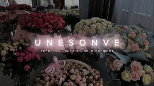 Славик Хитов, Тембот Беданоков - Суета