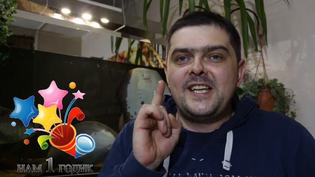 Нам ОДИН годик! смотреть онлайн