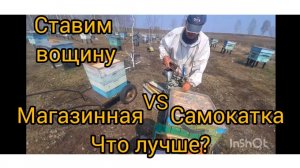Пришло время вощины! Какую вощину выбрали пчелы? С нашей вощиной не все так хорошо как казалось!