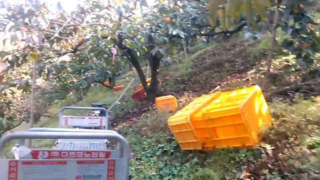 Кореяда дагы бир жумушум