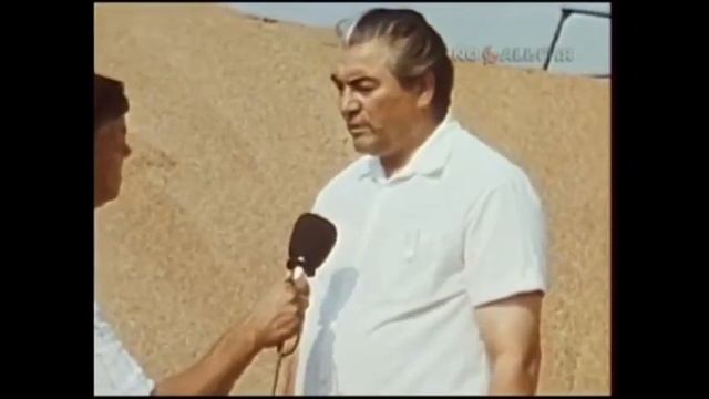 1988 год. Битва за урожай хлеборобов Кубани. смотреть онлайн