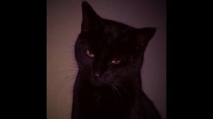 андеграунд бит + boom bap + underground type beat (prod.by Jackal)