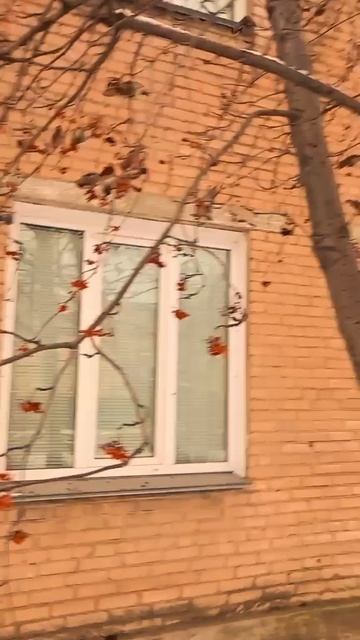 весна, птицы