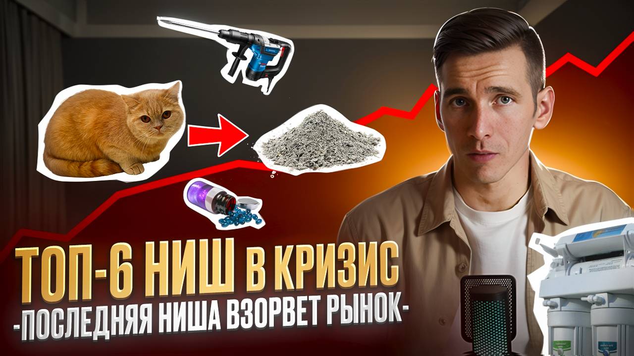 НИШИ в КРИЗИС с доходом от 100 000 руб. На чем заработать, когда все падает?