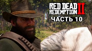 Red Dead Redemption 2 - Прохождение #10