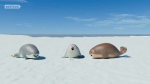 Морские Котики: Вызов принят! Как далеко ты продвинулся? 🐾🔥