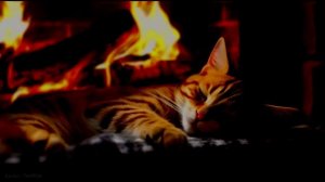 Нежно мурлыкающий кот у камина для сна и релакса