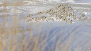 Начал работу карьер по добыче известняка для нужд Уральской Стали