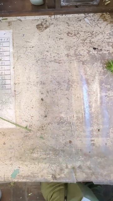 ショートブーケ作成動画〜flower bouquet creation〜 смотреть онлайн