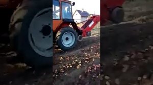 Уборка картошки. Т30а80 и картофелекопалка виракс