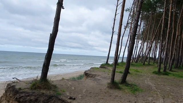 Калининград ! Пляжи опустели ! 29 августа 2021#калининград#отдыхнаморе#калининградскаяобласть смотреть онлайн