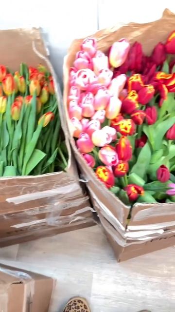 Мамкины бизнесмены закупились тюльпанами и надеялись срубить легких денег перед 8 марта, а получили смотреть онлайн