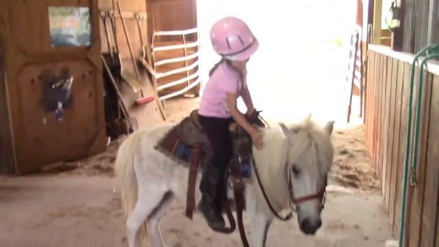 The Explorers. Lazy C Ranch. Kids travel and adventure show. Mini horses. смотреть онлайн