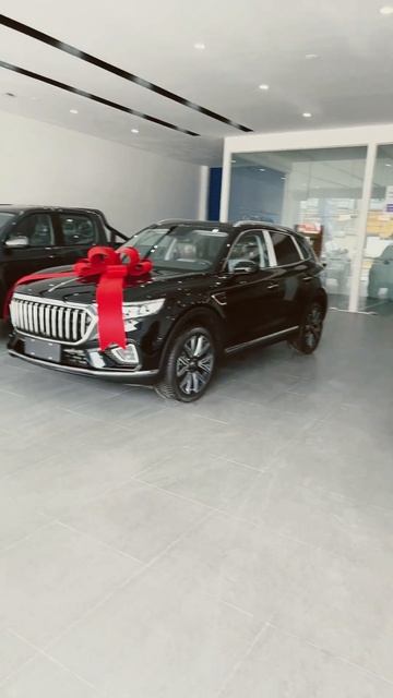FOTON Picks good price смотреть онлайн