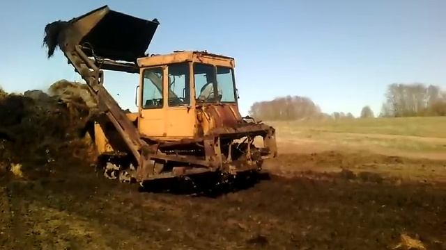 дт-75 погрузка смотреть онлайн