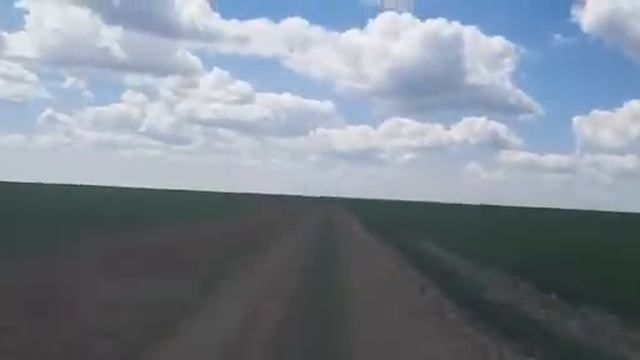 Обработали семена и какая разница?