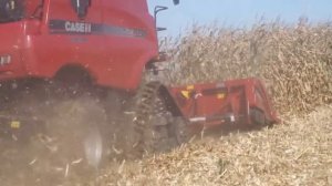 Комбайн Case 9230   Уборка кукурузы   Alvar Service