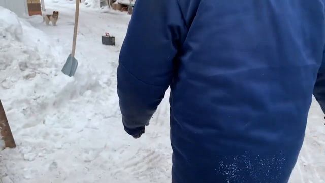 Мой отвал на Т-25