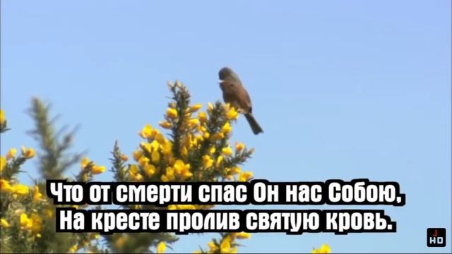 Славьте Бога! Славьте в песнопеньях _ Псалмы Сиона № 3 смотреть онлайн