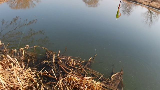 Обзор спиннинга Херти Райз Про Форс Ультра (Hearty Rise Pro Force Ultra) смотреть онлайн