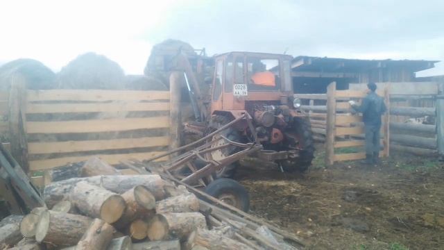 Трактор Т-16, разгрузка сена в рулонах.1 смотреть онлайн