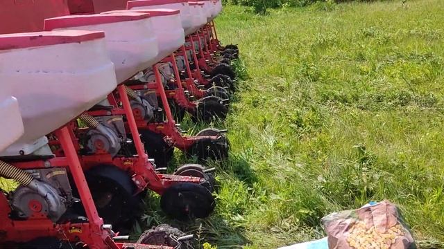 посев подсолнечник и кукуруза 27 мая 2022. смотреть онлайн