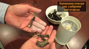 Банановая кожура как удобрение для огорода