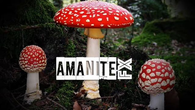 Amanite FX Cosmic Totem смотреть онлайн