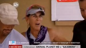 Фрагмент эфира (МТС Инфо, 20.02.2017)