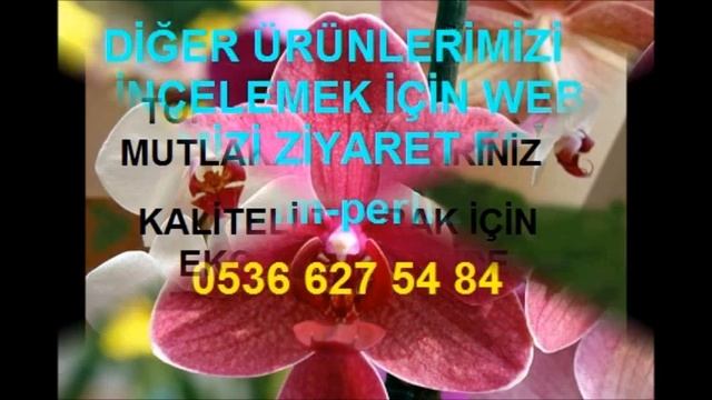 ,SERA PERLİTİ,TARIM SERA PERLİTİ,PERLİT FİYATI,TARIM PERLİTİ,TARIM PERLİTİ FİYATI,TARIM PERLİTİ FİY смотреть онлайн