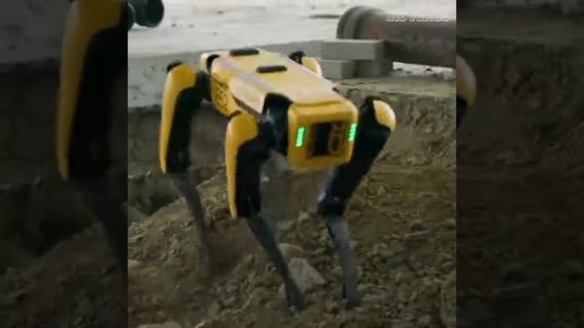 Новые роботы Boston Dynamics