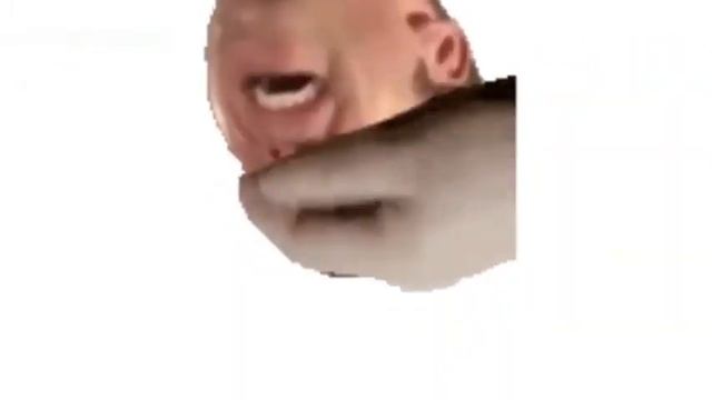 pet the gachi смотреть онлайн