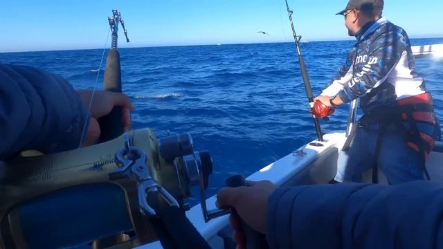 Epic Tuna Fishing in Cape Town, South Africa! (2024) - Part 1 смотреть онлайн