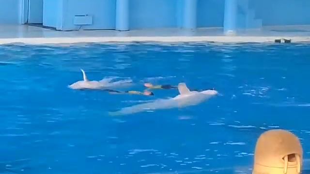 Water dance in Japan смотреть онлайн