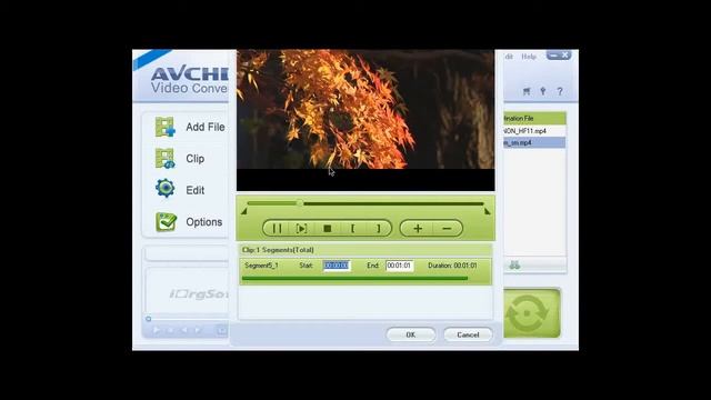 Convert AVCHD To Video With AVCHD Converter.flv