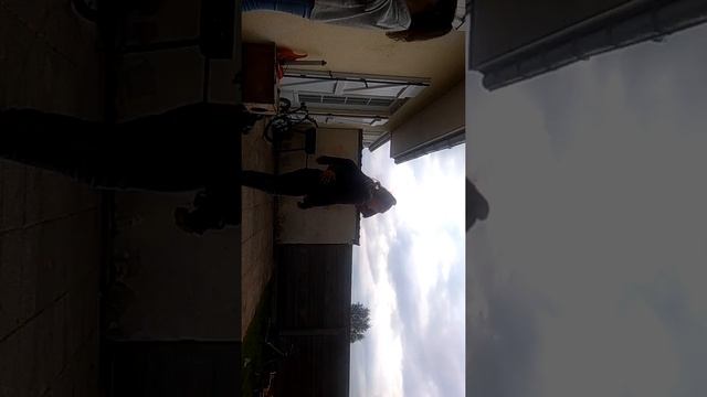 Hoverboard challenge смотреть онлайн