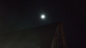 Стрим от 09.03.25.