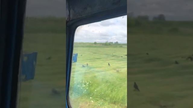 Сенокос мтз 80 смотреть онлайн