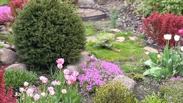 Красивые садовые цветы смотреть онлайн