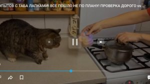 А ну-ка давай-ка иксперементы над табо лапками