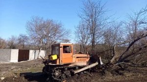 дт-75 корчевка.