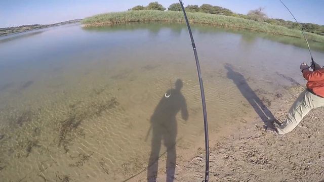 Testere! / Perches With Pike-Perch! смотреть онлайн