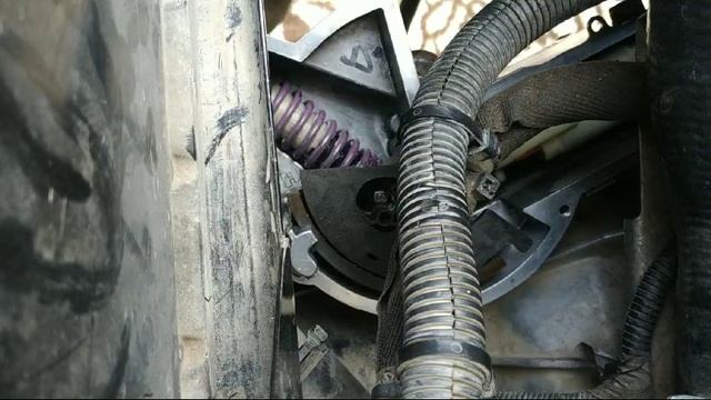 1000019956.mp4 смотреть онлайн