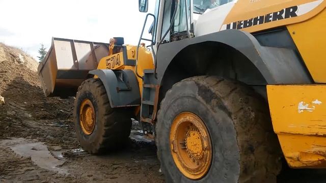 Инструкция   Liebherr 574   Liebherr 544