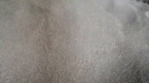 Загрузка зерна. Зерновозы