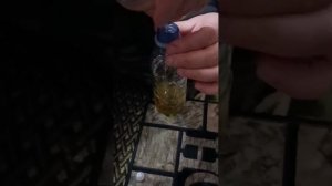 Сделал тест масла холодом Taneco 5w40 и офигел!