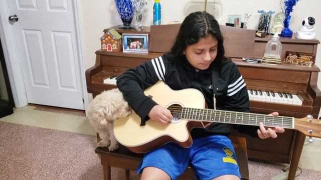 Mary had a little lamb - dog! Learning guitar beginner. смотреть онлайн