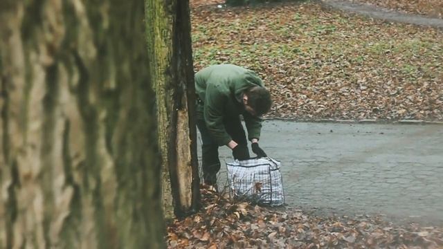 14 шагов к созданию Оскароносного фильма смотреть онлайн