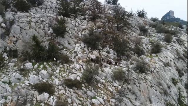 Ох ты зимушка зима Северный Кипр смотреть онлайн