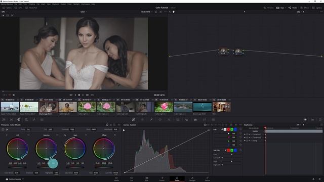 Davinci Resolve Color Grading Tutorial Malayalam | Part -1 | Shijubalagopalan | Davinci resolve 17. смотреть онлайн